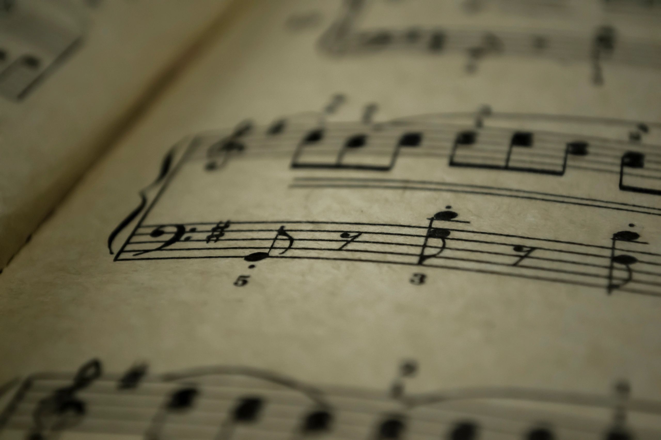 Old notes. An excerpt from a musical notebook.